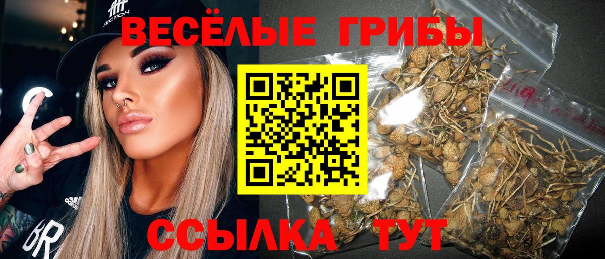 Галлюциногенные грибы ЛСД  Вход с VPN  Галлюциногенные грибы Psilocybine cubensis  Бутурлиновка 
