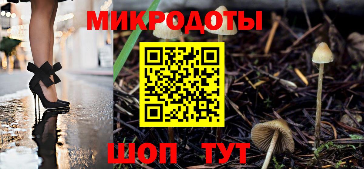 Псилоцибиновые грибы MAGIC MUSHROOMS Бутурлиновка