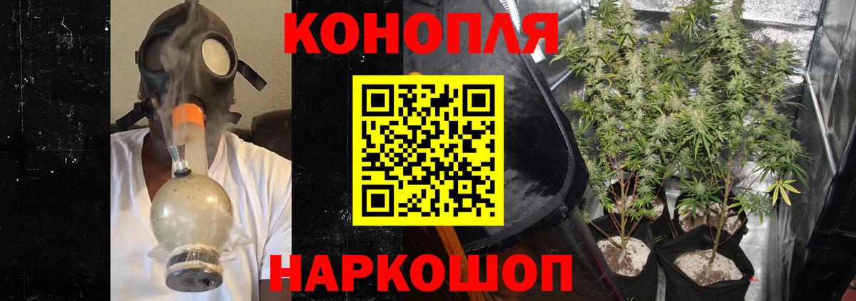 Бошки Шишки SATIVA & INDICA  Бошки марихуана планчик  Вход с VPN  Бутурлиновка  Бошки марихуана White Widow 